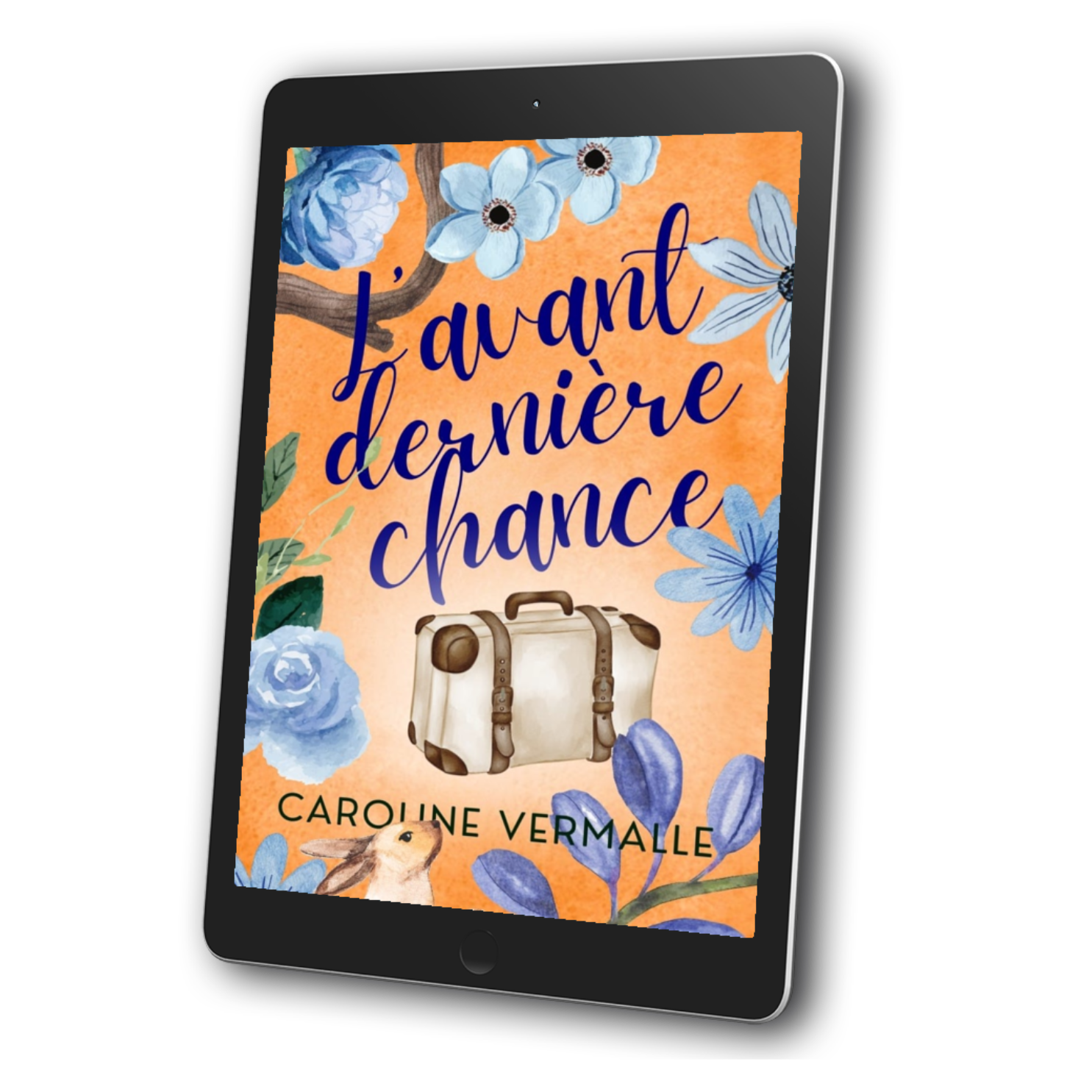 L'Avant-Dernière Chance | ebook