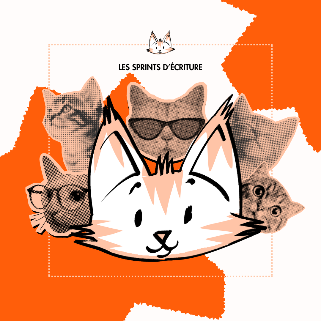 LES SPRINTS DU CHAT