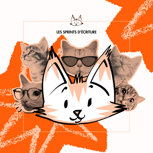 LES SPRINTS DU CHAT